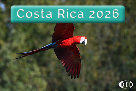 Costa Rica 2025